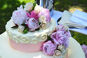 Speciality Cake